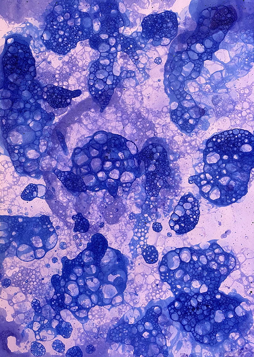 A.Liavontsyeva.t.b.5 kopia.jpeg