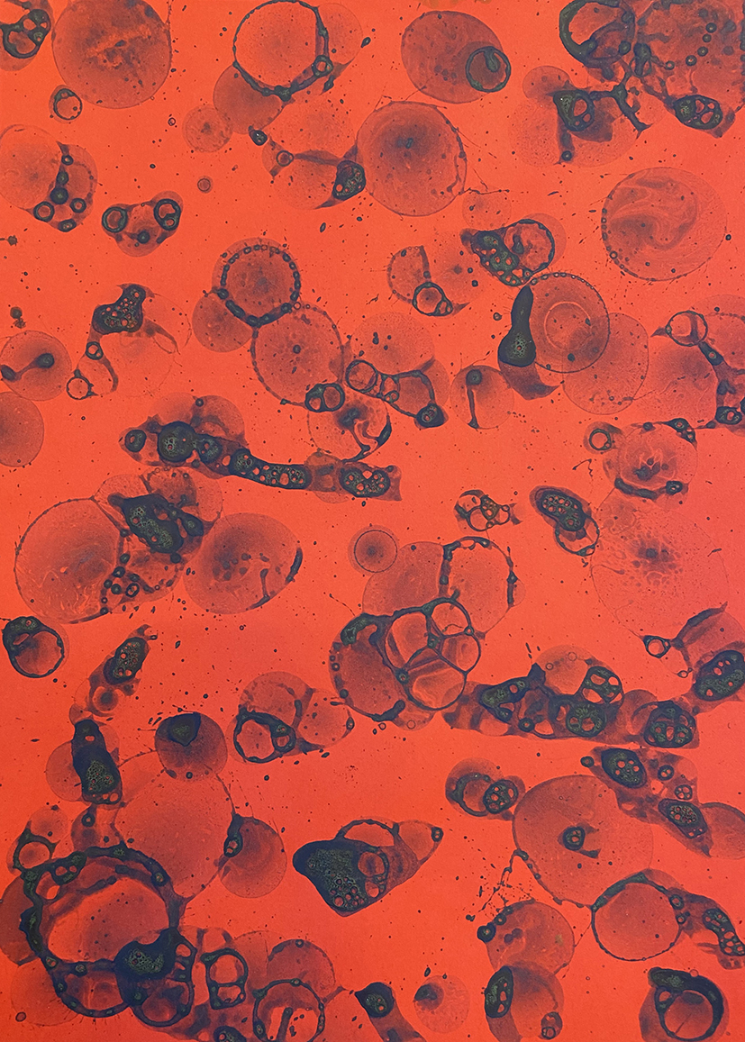 A.Liavontsyeva.t.b.6 kopia.jpeg