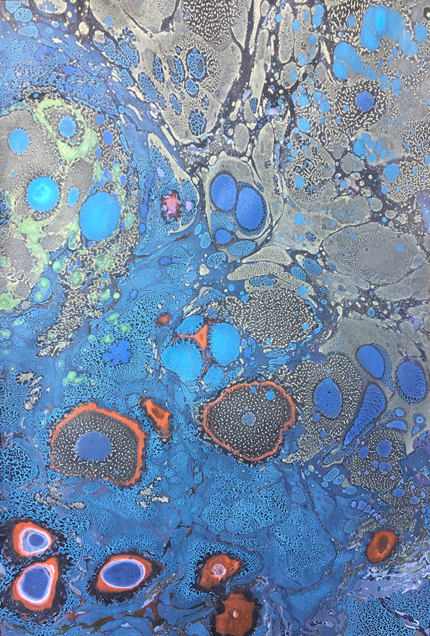 IMG_2050 kopia%20kopia