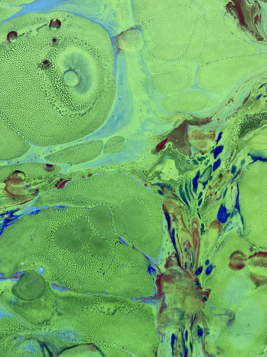 Julia%20Gryzło8 kopia