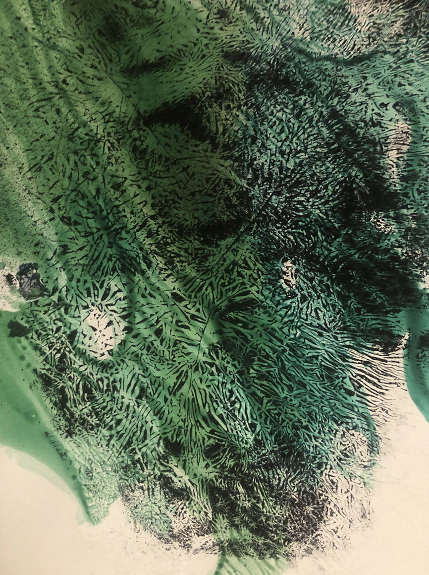 M.Pawlęga%20kalkodruk1