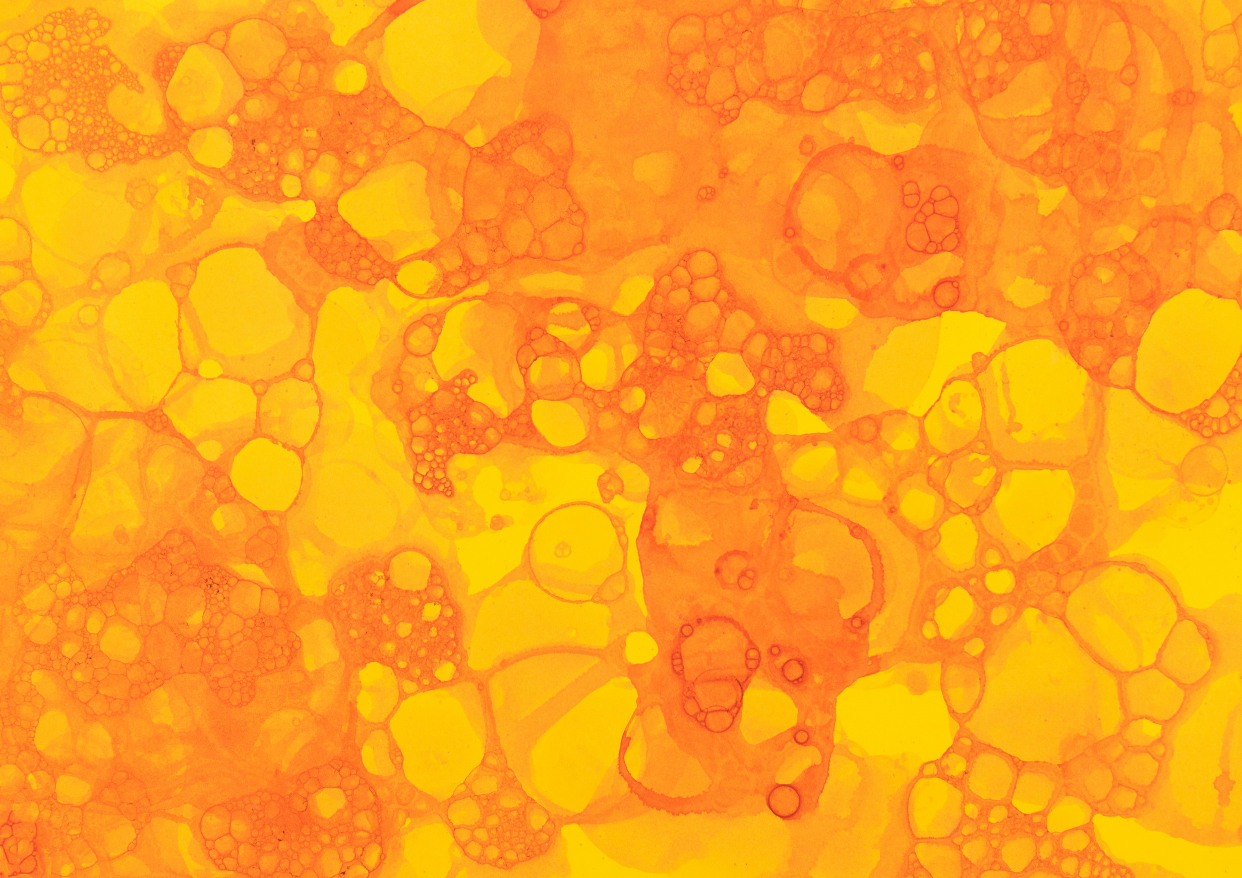 S.Mann%20t.bąbelkowa1 kopia